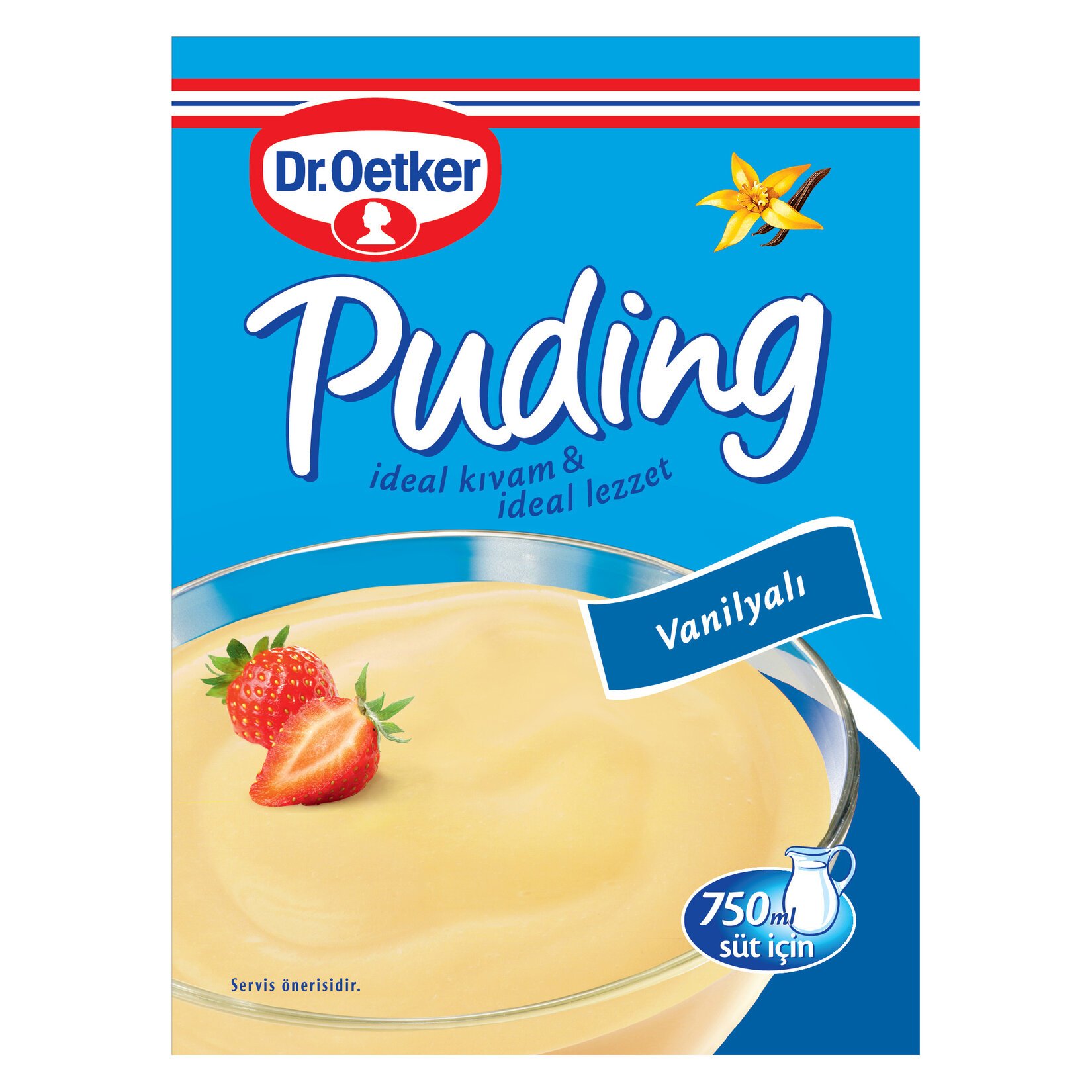 DR. OETKER PUDİNG VANİLYALI 