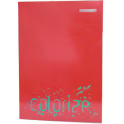 ÇINAR 13001 A4 40/1 DEFTER