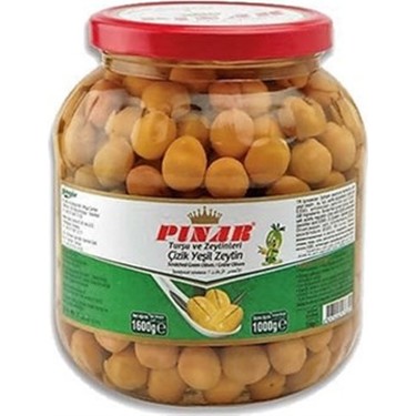 PINAR 1600 cc CAM 291-320 ÇİZİK YEŞİL ZEYTİN 1000 