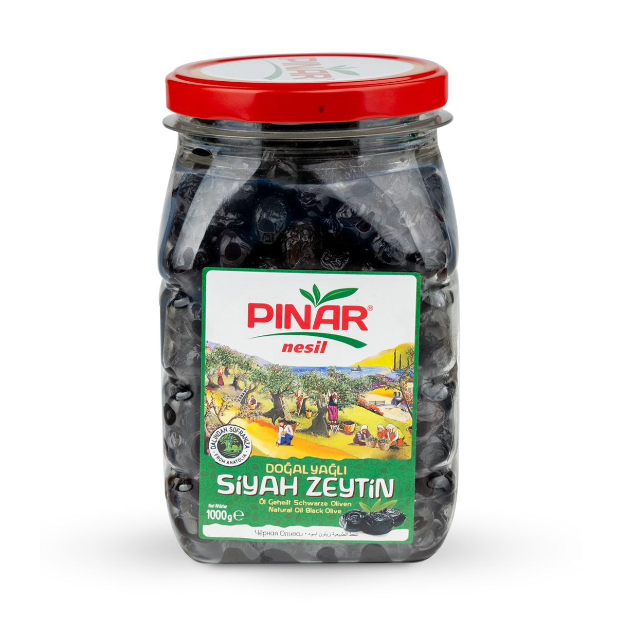 PINAR NESİL 1600 cc CAM 351-410 DOĞAL YAĞLI SİYAH 