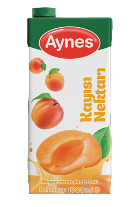 AYNES 1 LT KAYISI NEKTARI